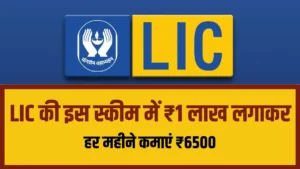 LIC FD Scheme